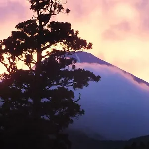 **** 传统日式旅馆 华之宿日式旅馆 日本
