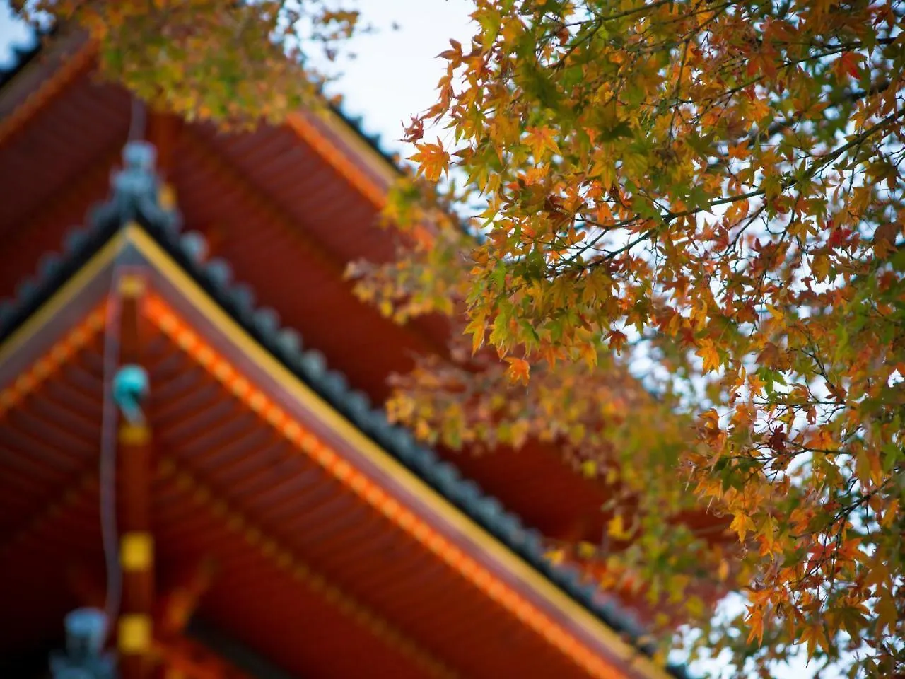 Saka Hotel Kyoto