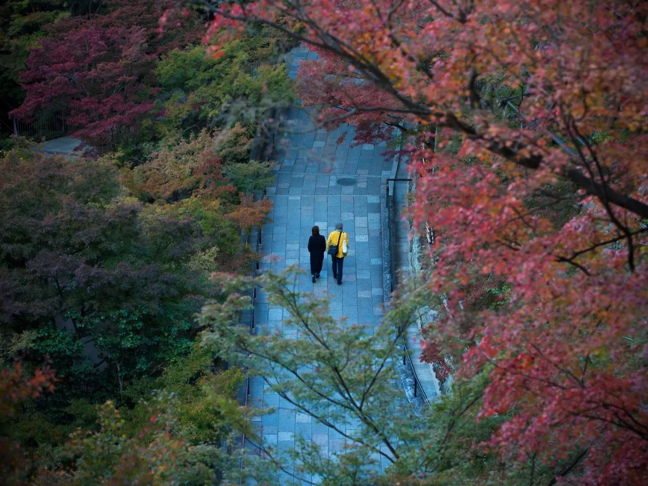 Saka Hotel Kyoto 3*,